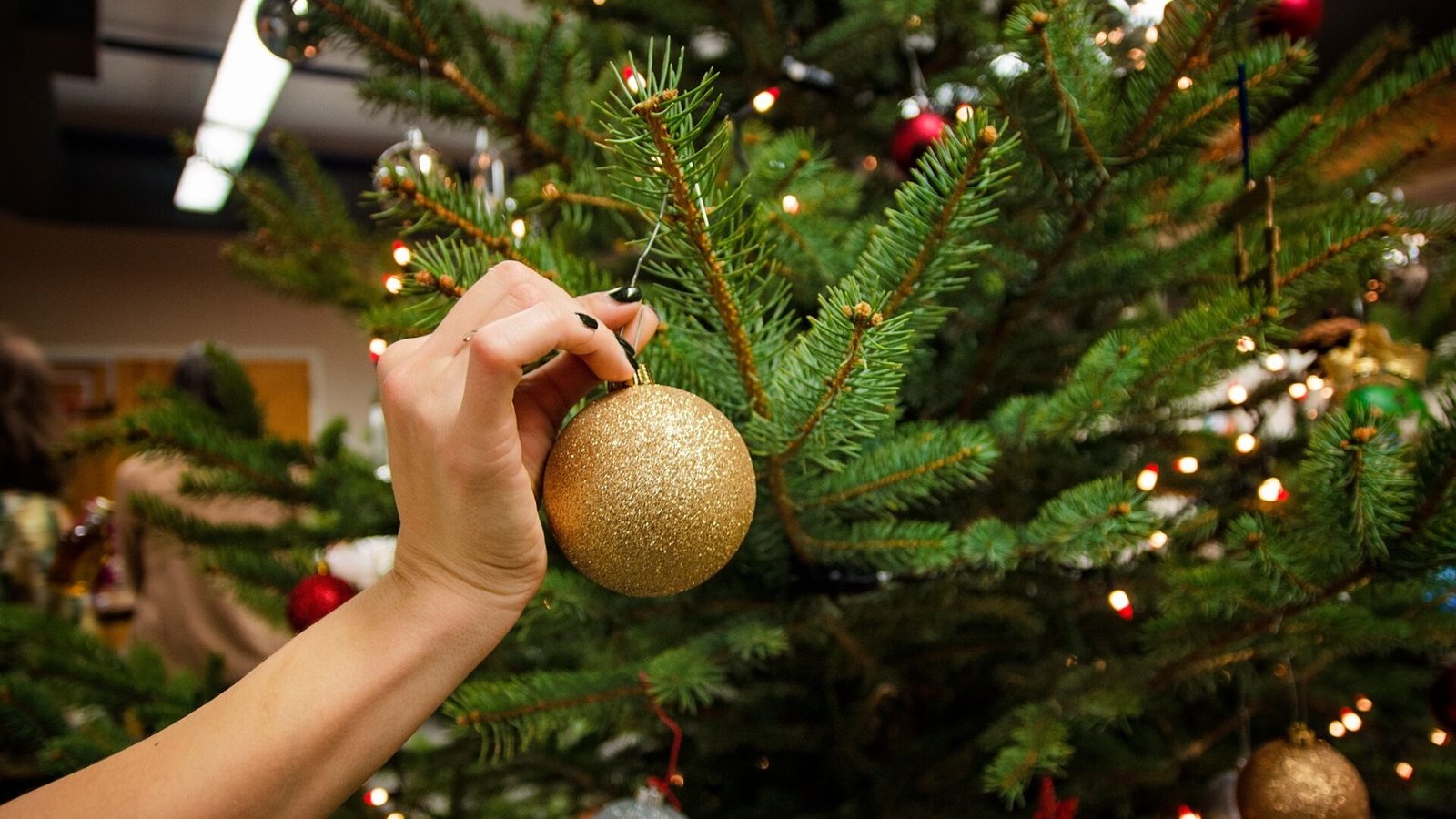 jõulukuuskede müük