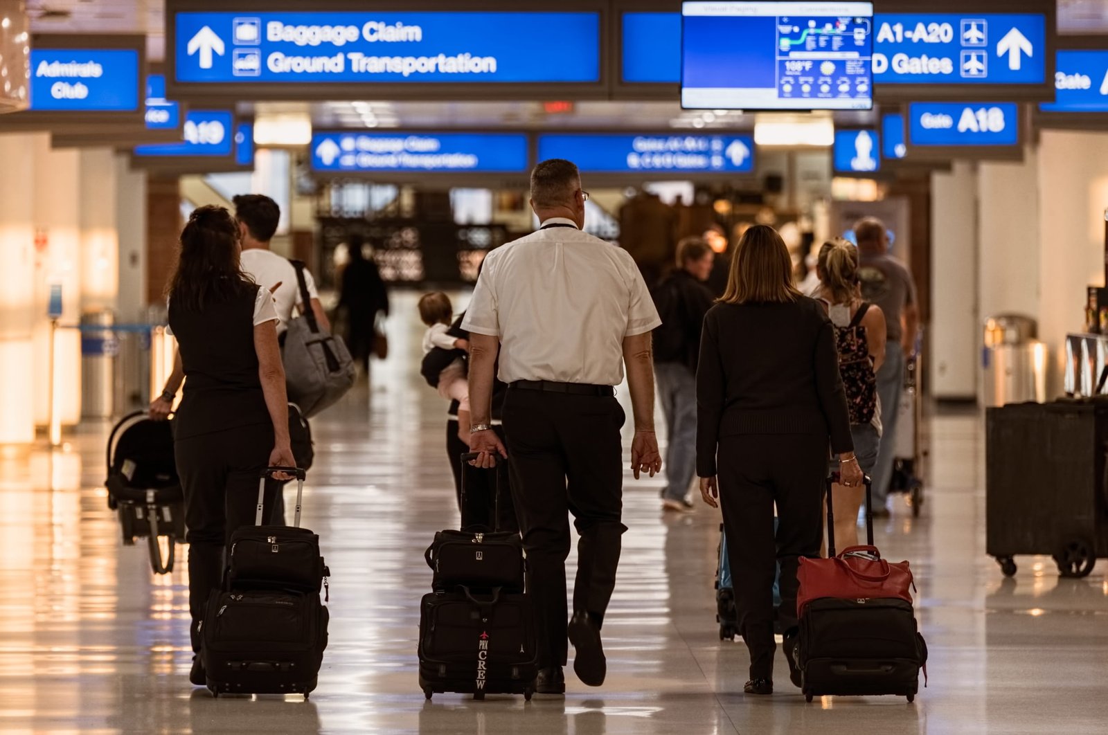 timed-out-2026-03-13-04-38-26-utc (1)